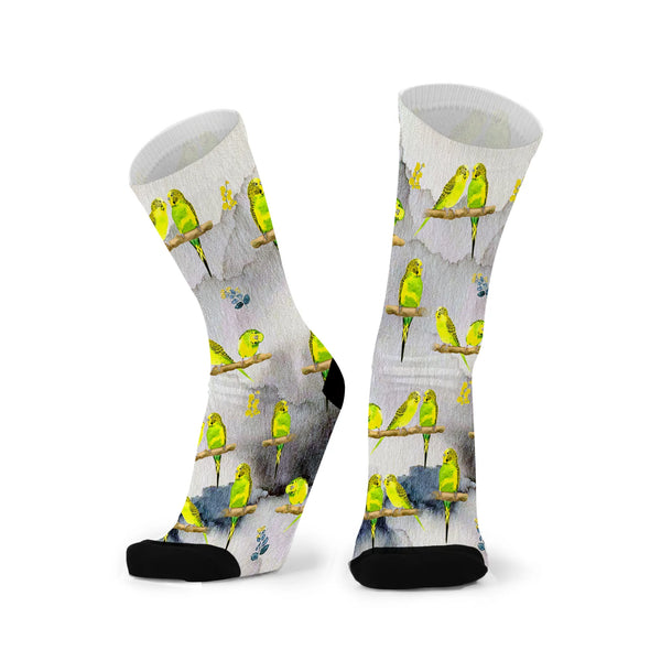 Budgie Socks