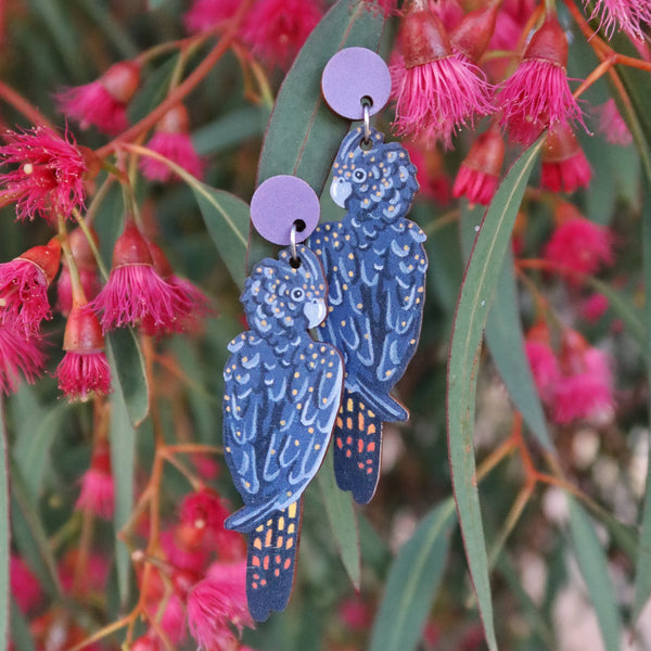 Black Cockatoo Earrings