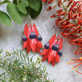 Sturt Pea Wildflower Earrings