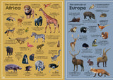 Discover the Animals of the World (Neon Edition)